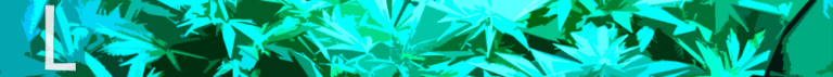 L cannabis-kweekset - Plantarium