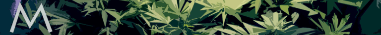 M cannabis-kweekset - Plantarium