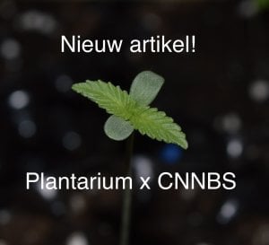 PlantariumxCNNBS