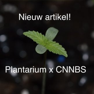 PlantariumxCNNBS