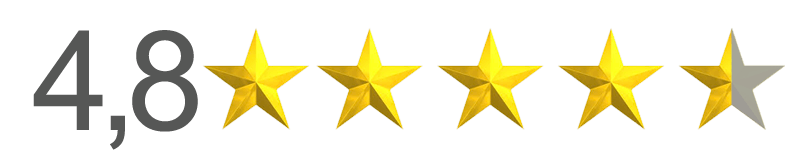 Google Reviews 4.8