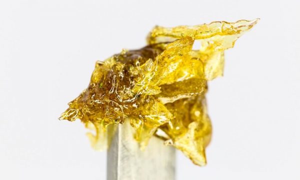 Rosin Persen