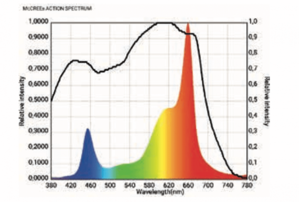 LED PAR