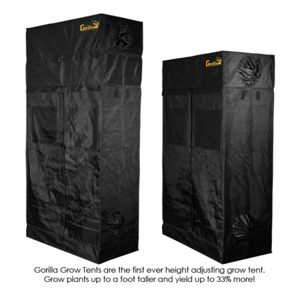 Gorilla 60x120x210-240cm (GGT24) - Afbeelding 5