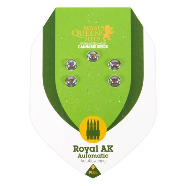 Royal AK Automatic autoflower wietzaadjes van Royal Queen Seeds