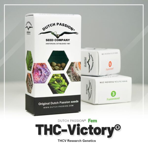 THC Victory wietzaadjes van Dutch Passion online kopen bij Plantarium